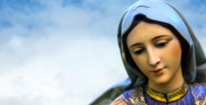 Mary the Mother of Jesus was chosen by God to give birth to the Savior of the World