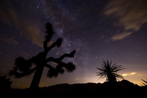 Milky Way at night in Joshua Tree National Park.