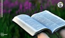 Como ler a Bíblia?